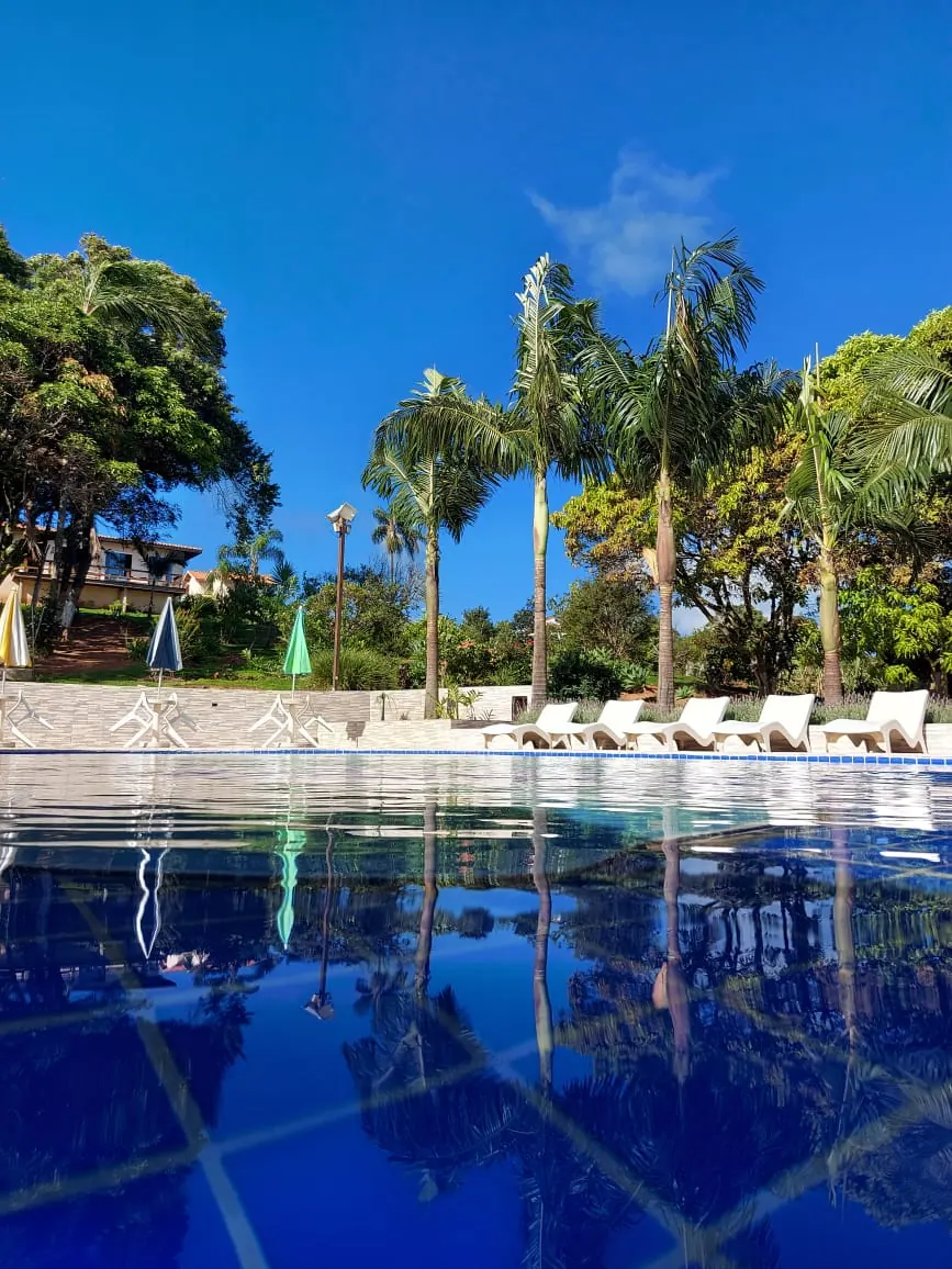 Piscina com água azul refletindo palmeiras e espreguiçadeiras sob céu limpo